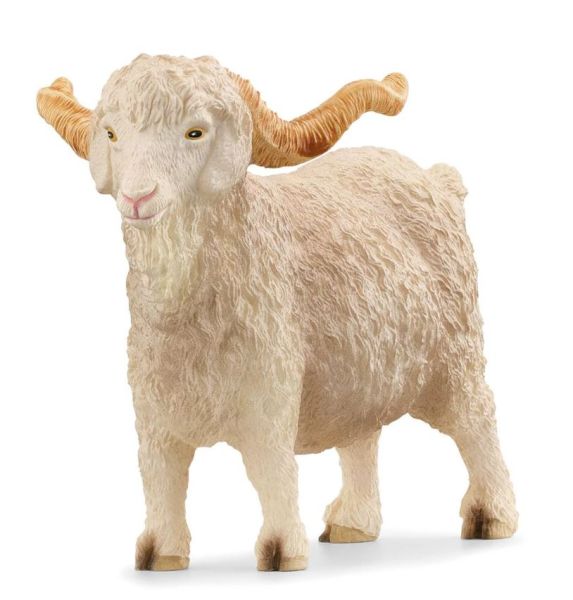 SHL13970 - Angora-Bock - 1