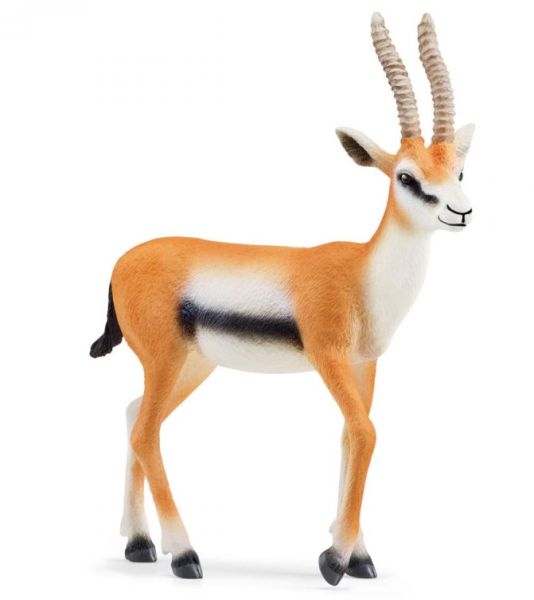 SHL14861 - Thomson-Gazelle - 1