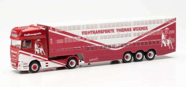 HER315449 - DAF XF SSC 4x2 mit Viehtransportanhänger 3-achsig THOMAS WERNER - 1