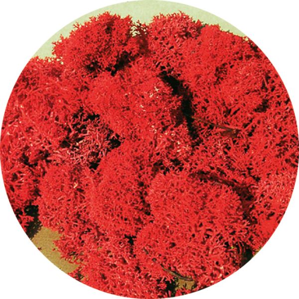 HEK3213 - Rote Flechte 30g - 1