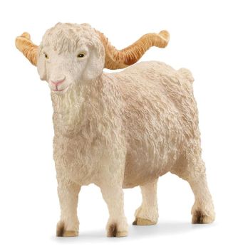 SHL13970 - Angora-Bock