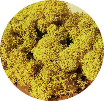 HEK3215 - Lichen gelb 30g