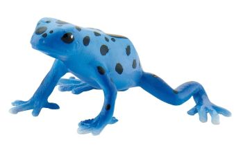 BUL68515 - Frosch Blau