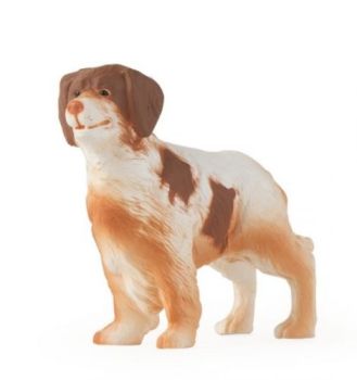 ERT46530 - Bretagne-Spaniel