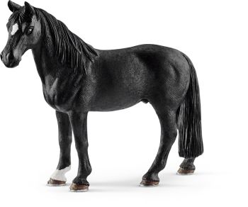 SHL13832 - Tennessee-Walker-Wallach